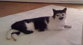 Lenny